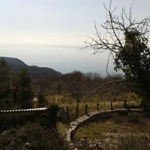 Земельный участок в Кульяче, фото 4