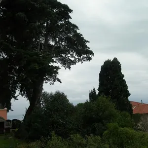 Вилла в Бордигера, фото 2