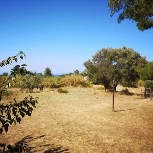Мезонет в Kassandra Municipality, фото 2