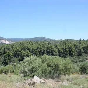 Земельный участок в Ситониа, фото 2