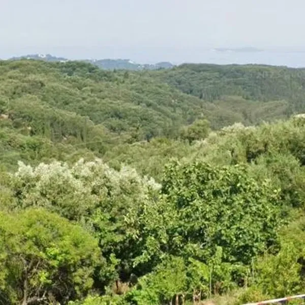 Земельный участок в Corfu, фото 1