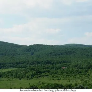 Усадьба в Будапешт, фото 3