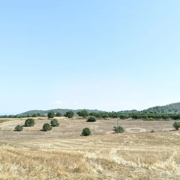 Земельный участок в Kassandra Municipality, фото 1