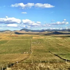 Дом в Жабляк, фото 4