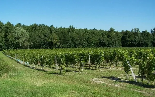 Замок в Бордо