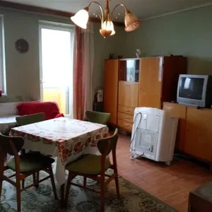 Студия в Будапешт, фото 3