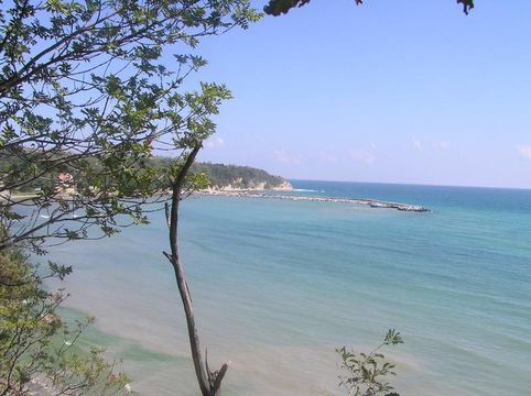 Земельный участок в Била