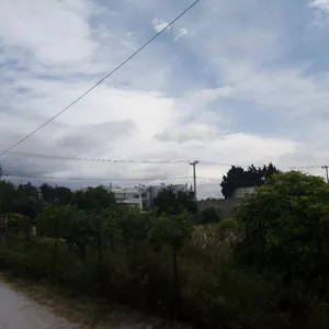 Земельный участок в Аттика, фото 4