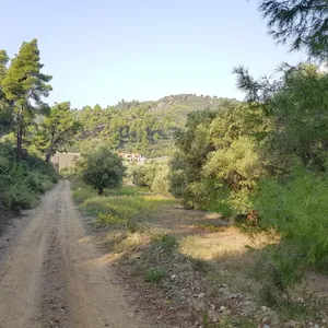 Земельный участок в Kassandra Municipality, фото 5