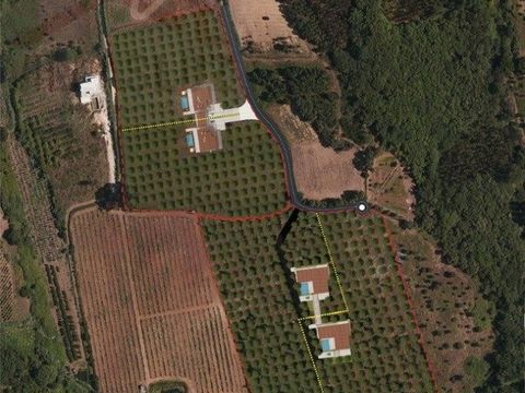 Земельный участок в Алкобаса