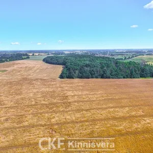 Земельный участок в Тарту, фото 4