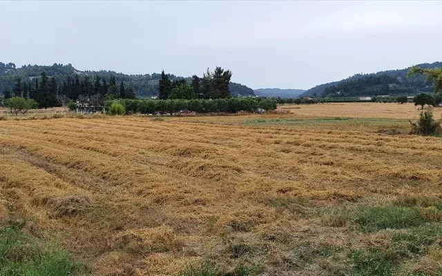 Земельный участок в Kassandra Municipality