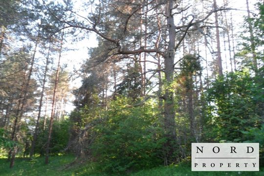 Земельный участок в Каазику