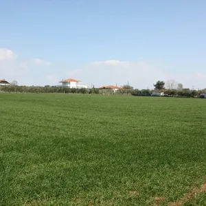 Земельный участок в Νέα Μηχανιώνα, фото 5