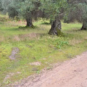 Земельный участок в Corfu, фото 4
