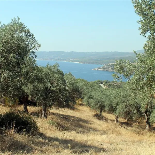 Земельный участок в Aristotle University of Thessaloniki, фото 1