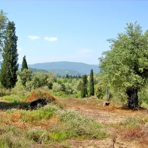 Земельный участок в Corfu, фото 3