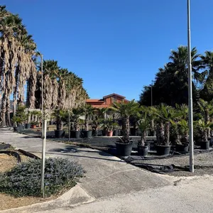 Усадьба в Лигурия, фото 2