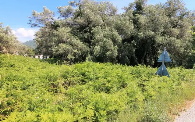 Земельный участок в Corfu