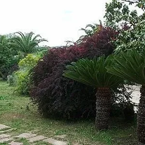 Вилла в Айора, фото 3