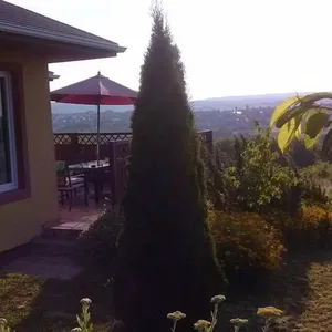 Отдельный дом в Хевиз, фото 5