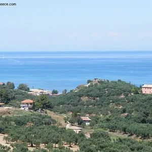 Земельный участок в Аргасси, фото 4