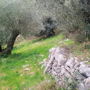 Земельный участок в Corfu, фото 4