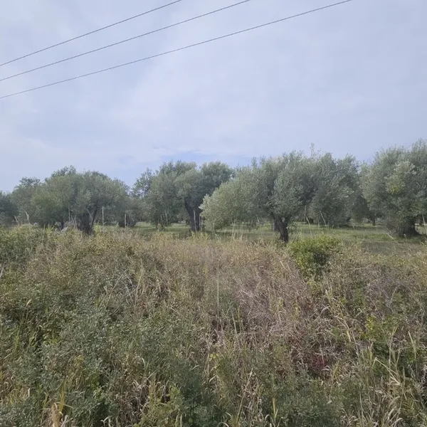 Земельный участок в Kassandra Municipality, фото 1