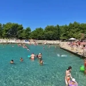 Земельный участок в Вир, фото 4