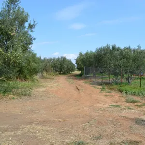 Земельный участок в Муниципалитет Неа-Пропонтида, фото 2