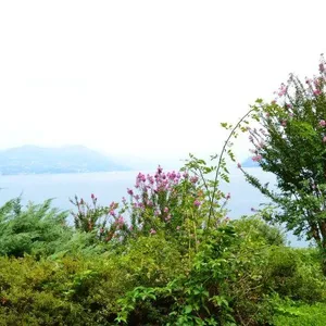 Вилла в Стреза, фото 4