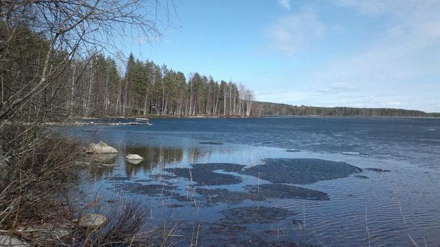Земельный участок в Пуумала