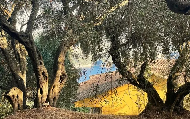 Земельный участок в Corfu