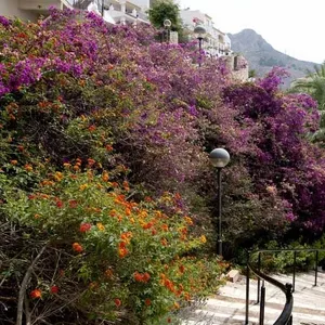Квартира в Альтеа, фото 4