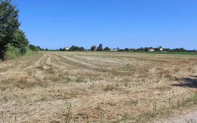 Земельный участок в Коринос