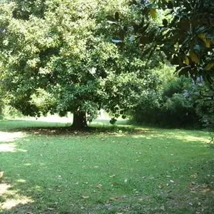 Вилла в Капаннори, фото 5