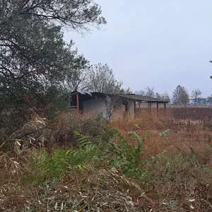 Земельный участок в Терми, фото 2