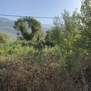 Земельный участок в Ластва Грбальска, фото 2