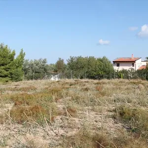 Земельный участок в Kassandra Municipality, фото 5