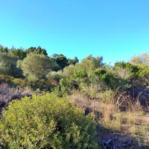 Земельный участок в Ситониа, фото 3