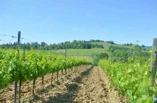 Земельный участок в Сиена