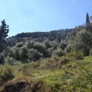 Земельный участок в Corfu, фото 4