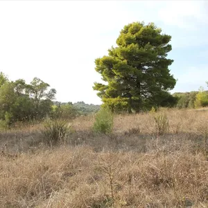 Земельный участок в Kassandra Municipality, фото 2