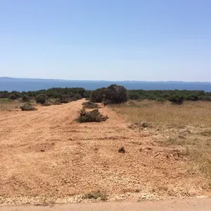 Земельный участок в Вир, фото 2