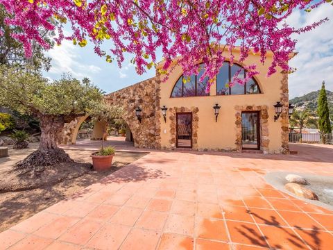 Вилла в Бланес