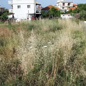Земельный участок в Aristotle University of Thessaloniki, фото 3