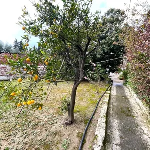 Отдельный дом в Corfu, фото 5
