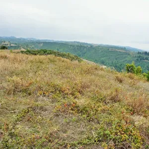 Земельный участок в Kassandra Municipality, фото 3