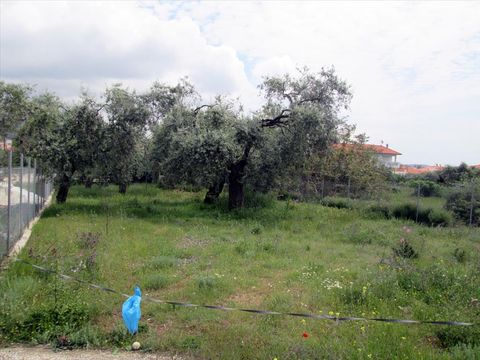 Земельный участок в Тасос