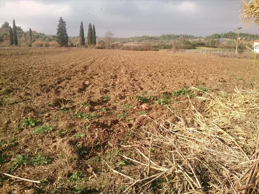 Земельный участок в Kassandra Municipality